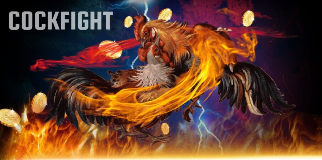Aladdin99 Game | Cockfight